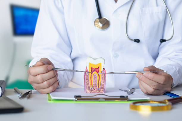 Best Emergency Dental Care for Abscessed Tooth in Indian Springs Village, AL